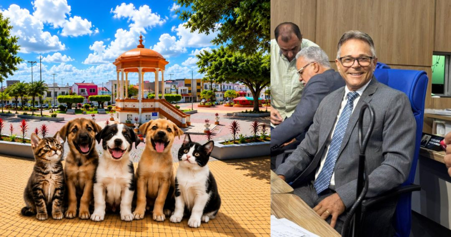 Vereador Zé da Paz propõe feira de adoção de animais em Estância