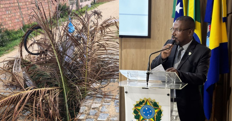 Vereador Elenilton Cardoso cobra recuperação de rua e fechamento de buraco no Abaís