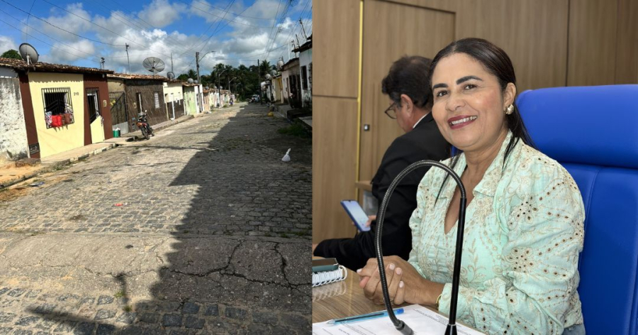 Vereadora Cleide solicita manutenção da pavimentação na Rua C do Conjunto Piauitinga